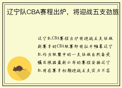 辽宁队CBA赛程出炉，将迎战五支劲旅